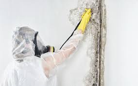 Best Dehumidification Services  in Tehachapi, CA